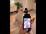 【動画あり】ペット写真撮影専用のスマホスタンド とても使いやすい！ペット用 自撮り棒 実用便利 操作簡単 犬 猫