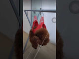 【動画あり】犬猫ペット用 ハンモック 小型犬中型犬 爪切り 毛のカット 歯のクリーニング 耳掃除 目薬をさす 快適 柔らかい グルーミング 補助具 メッシュ 通気性 介護 美容